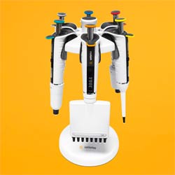 ِ����˹Tacta